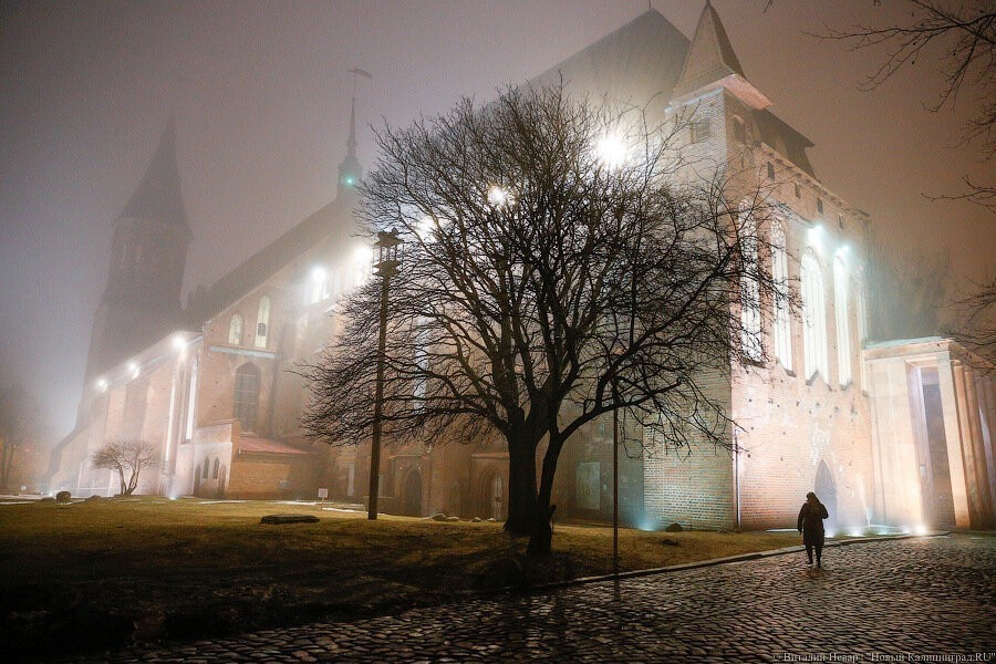 Стартовала продажа билетов на «Музейную ночь — 2019»