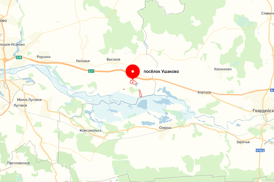 Над черняховской трассой хотят построить еще один надземный переход