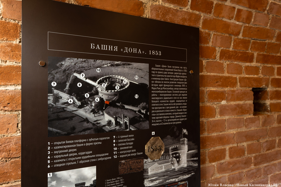 Просто «Дона»: эксперты уточнили название башни, в которой находится Музей янтаря