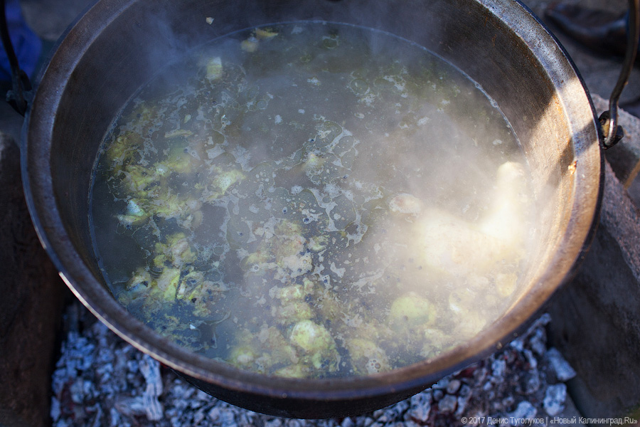Нептун, гуляния, уха: Светлый приглашает на празднование Дня города — Дня рыбака