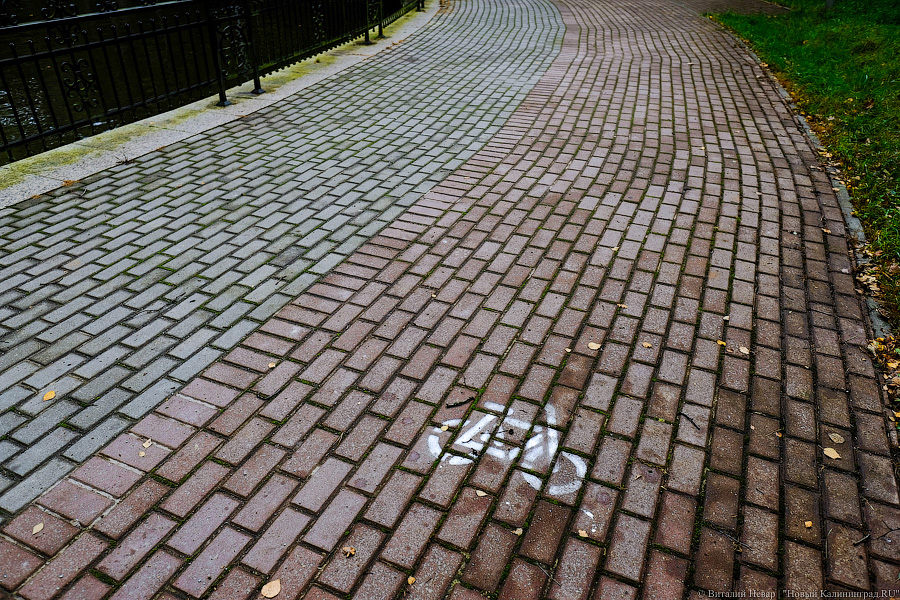 Горвласти к концу лета хотят обустроить велодорожки на ул. Черняховского и Елизаветинской