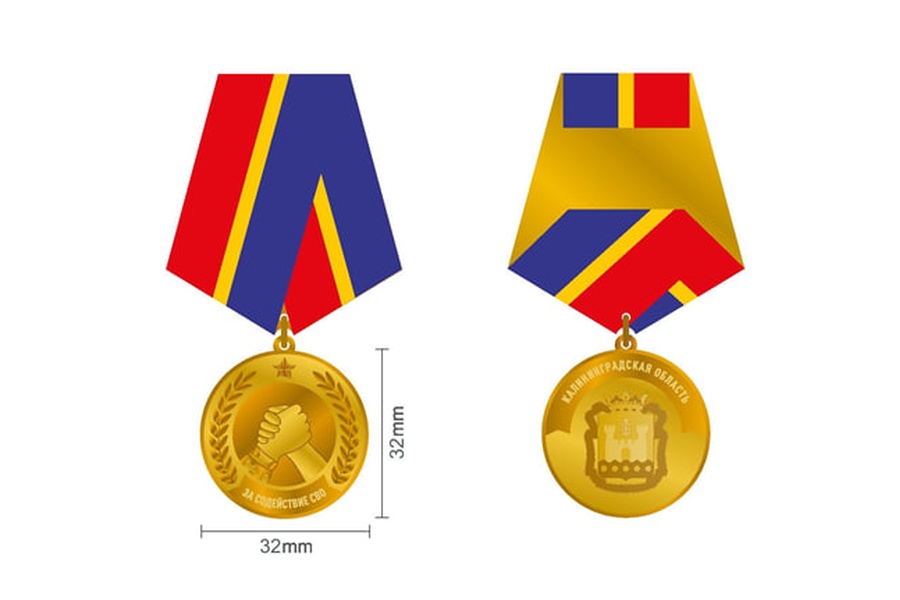 Областные власти намерены ввести медаль губернатора за содействие СВО (фото)