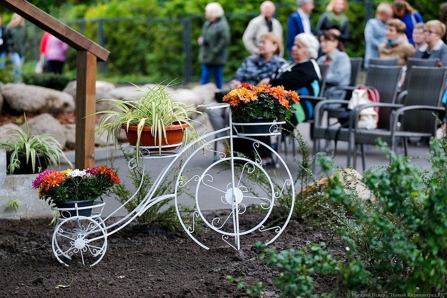 Алиханов распределил между муниципалитетами почти 6 млн руб. на благоустройство