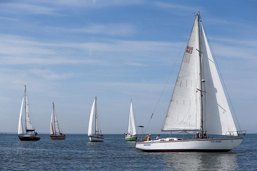 12 польских команд не приедут на Кубок трех губернаторов из-за проблем с визами