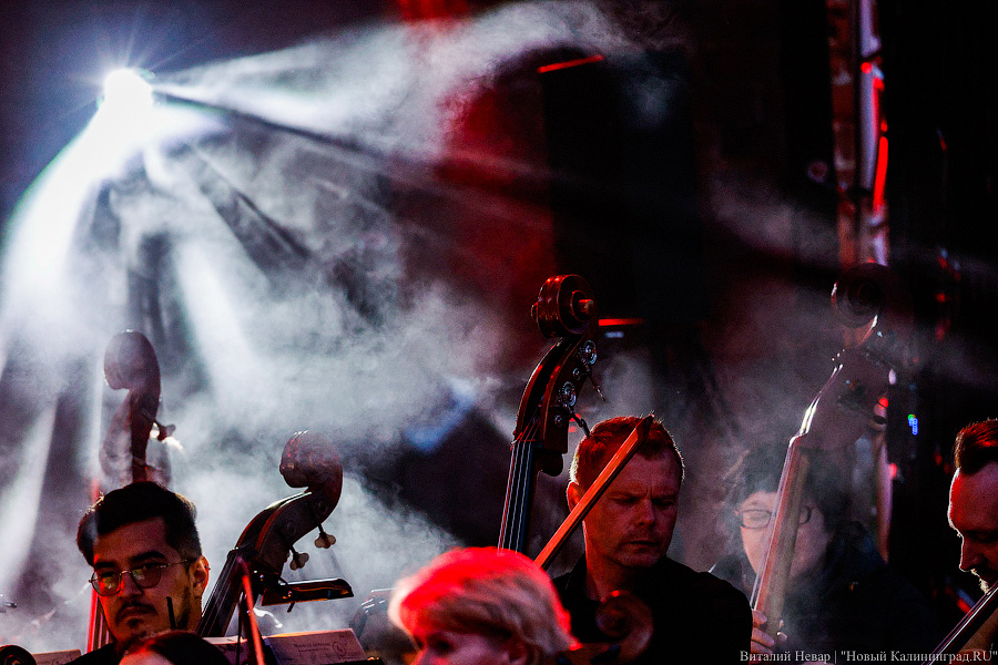 У «Фестивальной дирекции» забрали 55 млн рублей за отменённые мероприятия, но дали 20,5 на другие