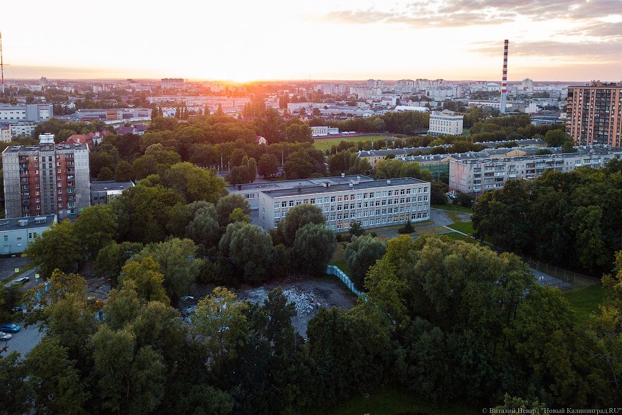 За всё зелёное: три истории о том, как калининградцы победили застройщиков