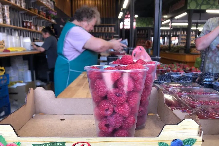 Зеленоградские фермеры собрали почти 100 тонн ягодного урожая