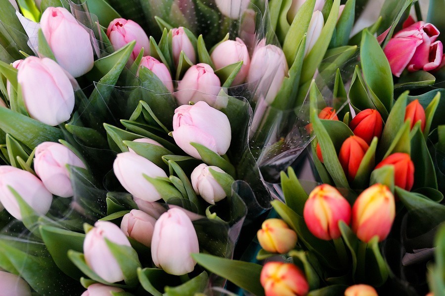 Роструд напомнил, когда россиян ожидают следующие длинные выходные