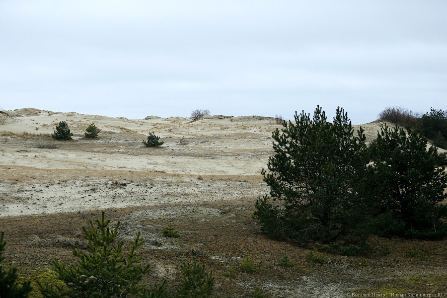 Бизнесмен лишился прав на 21 недострой на Куршской косе