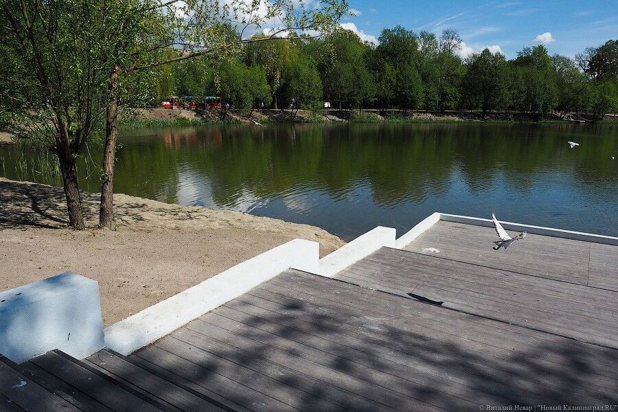 Дятлова: очищать Летнее и Зимнее озера хотели в том числе на европейские деньги, проект на «паузе»