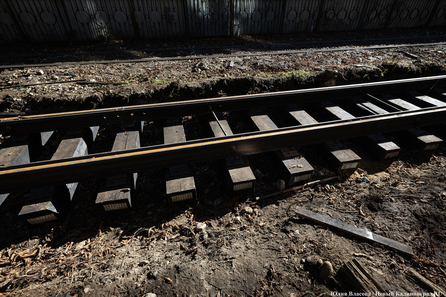 В мэрии пообещали, что трамвай № 5 вернётся на Фестивальную аллею с 1 января