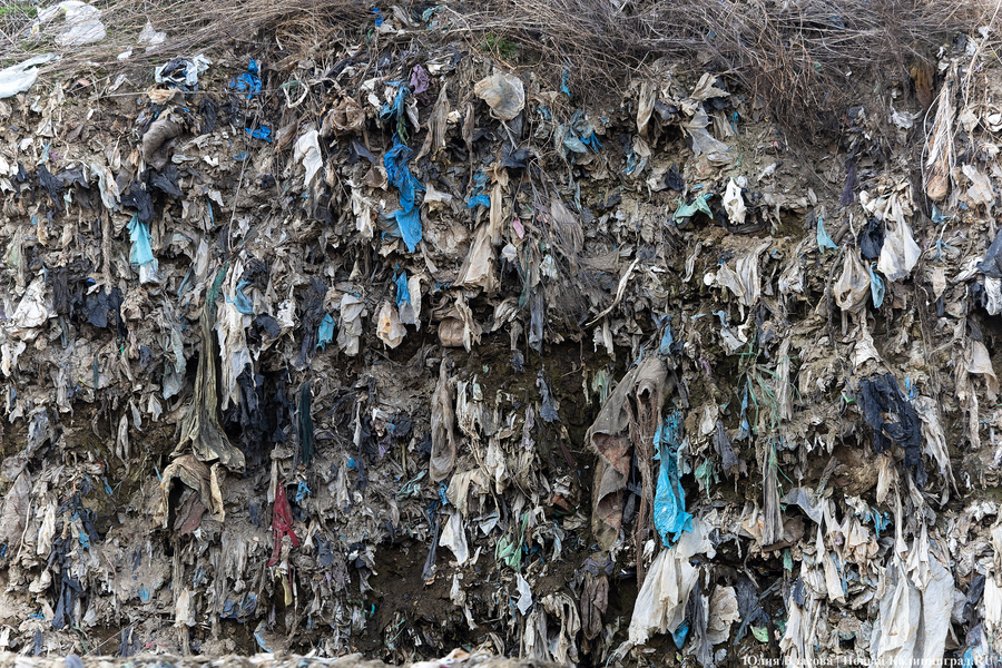 Минприроды: с июля 2025 года в регионе останется два действующих полигона ТБО