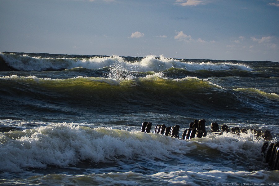 В Балтийске спасли трех девушек, которых едва не унесло в море
