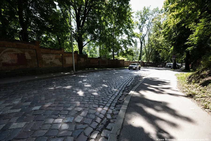 На ул. Галицкого намерены демонтировать исторический забор у ботанического сада