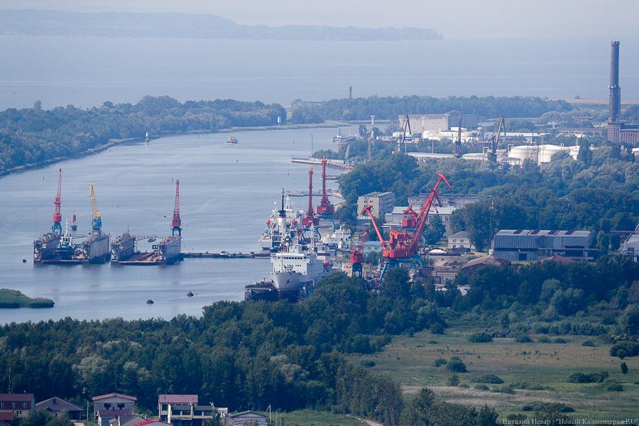 Через лес и частные земли: каким планируется мост через Калининградский залив 