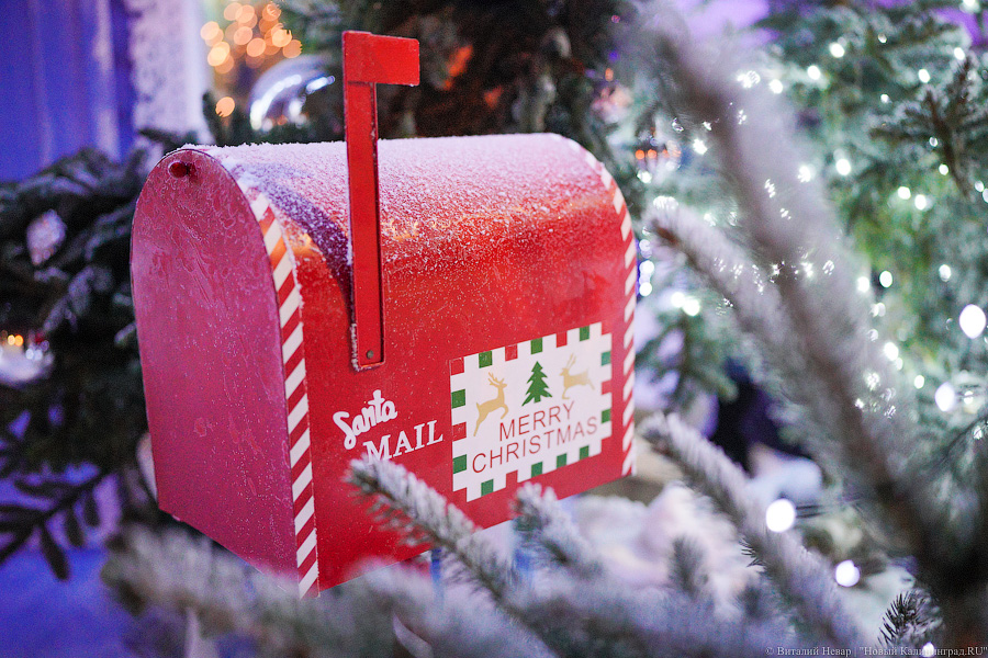 Свая Эдик вместо Снегурочки: у стадиона «Калининград» появился Домик Деда Мороза (фото)