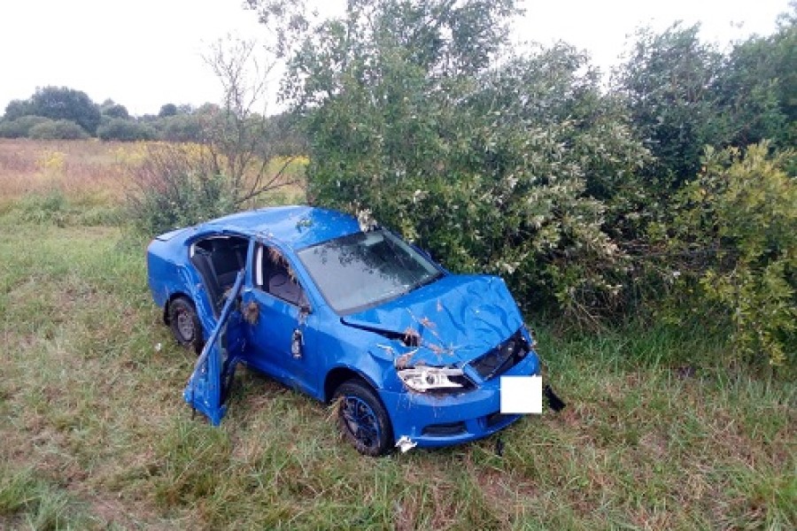 Под Нестеровом «Шкода» вылетела в кювет, есть пострадавший (фото)