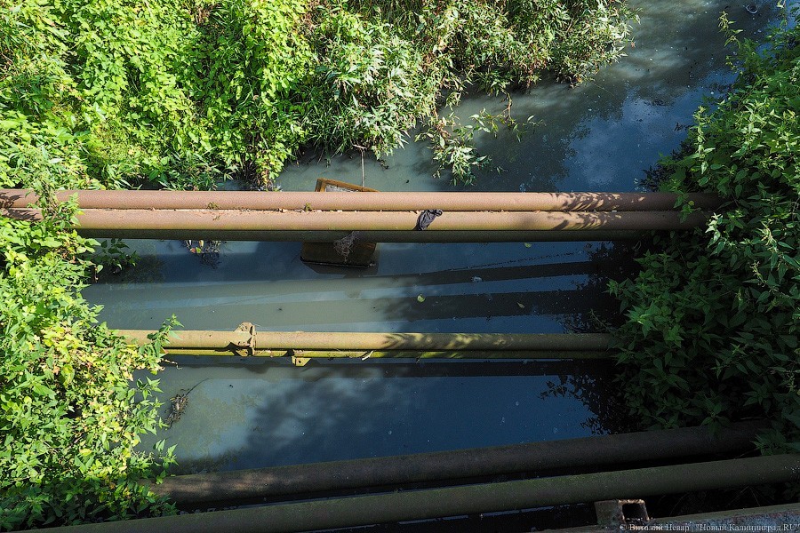 Алиханов поручил подключить дома к коллектору, чтобы «не ходили» в реку Лесную