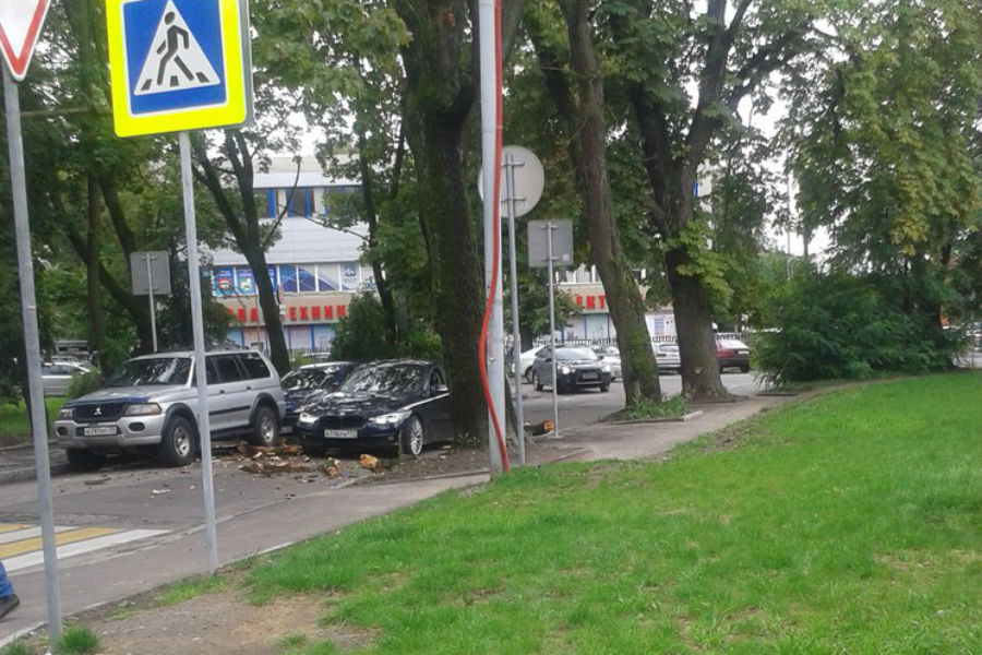Движение по ул. Свободной блокировано из-за упавшего на машину дерева (фото)