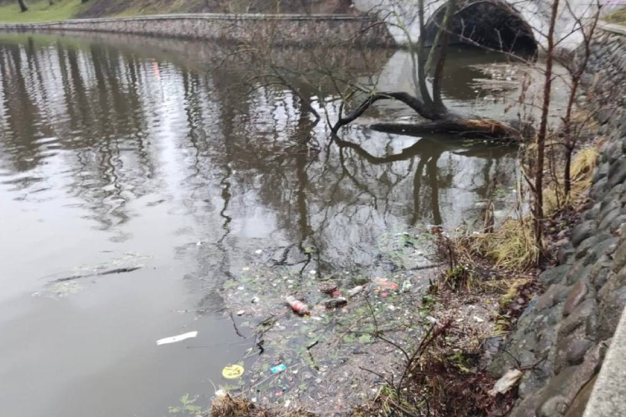 Прокуратура проводит проверку в связи с загрязнением Верхнего озера