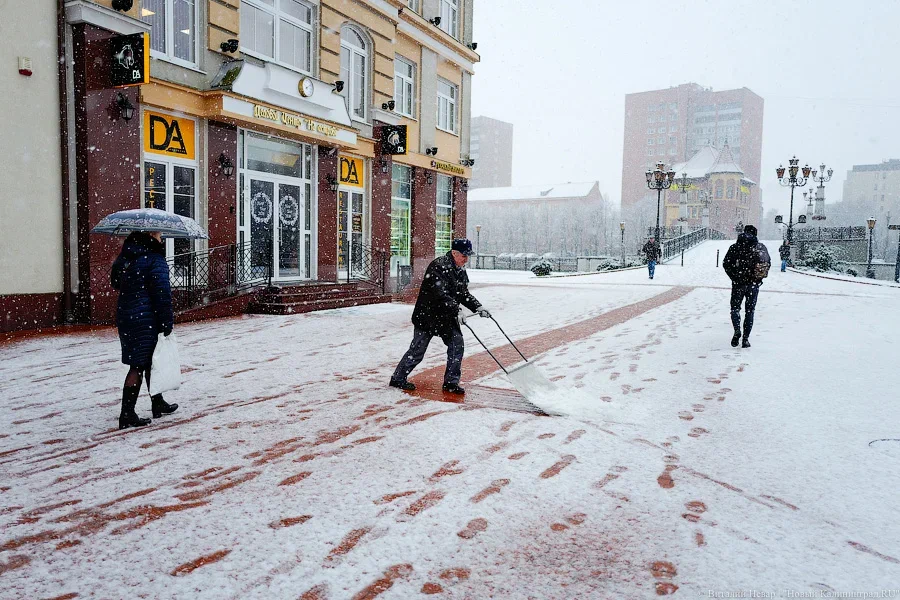 0°C и локальные заряды снега: погода в Калининградской области 20 февраля