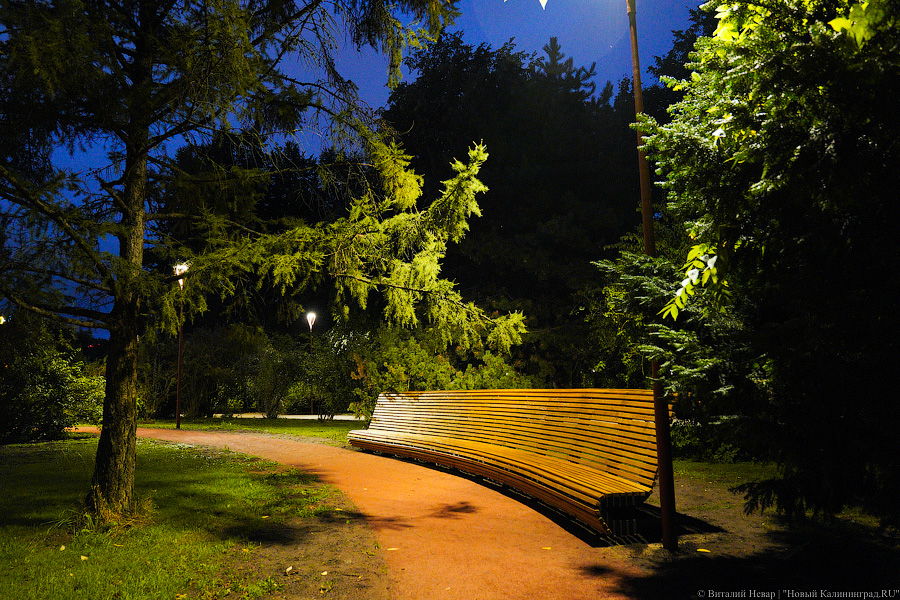 В мэрии Калининграда раскритиковали дорожки из теннисита на острове Канта