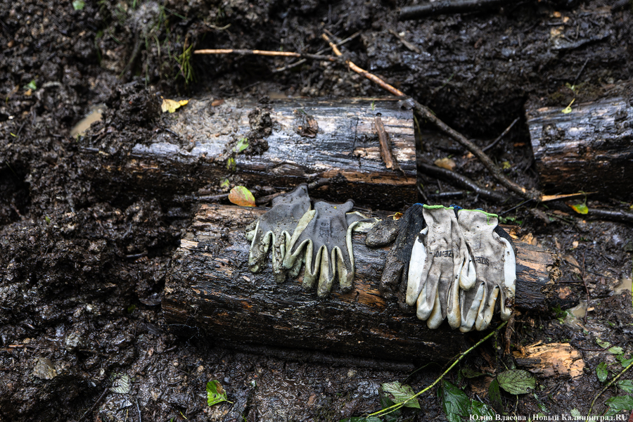 Первый клад-подснежник: калининградец выкопал бочку с посудой и инструментами (фото)