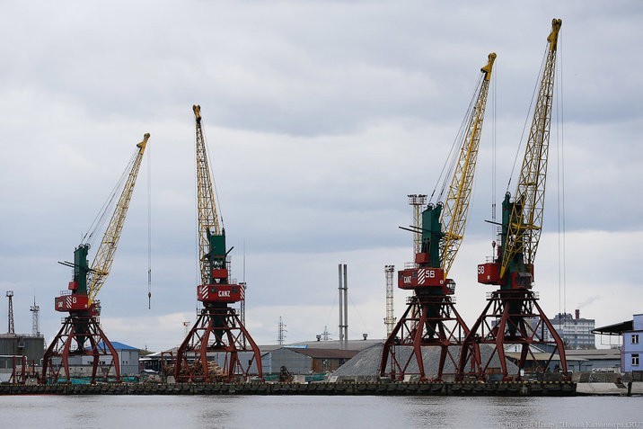 Росрыболовство решило развивать рыбный порт по профилю