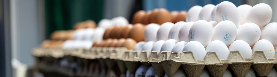 Вечерний@Калининград: рост яиц, падение «Балтики» и история области