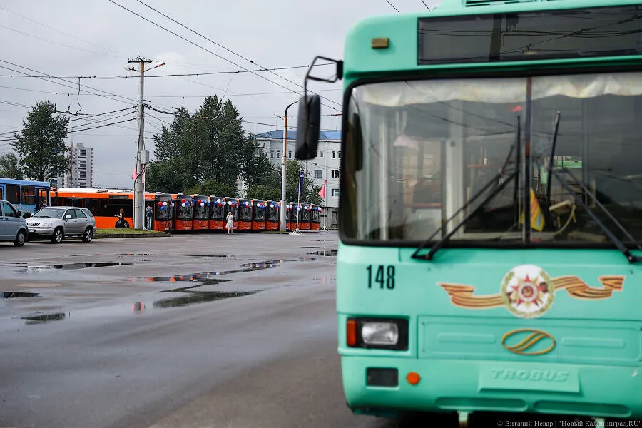 В Калининграде заблокировано движение троллейбусов из-за поломки пантографа