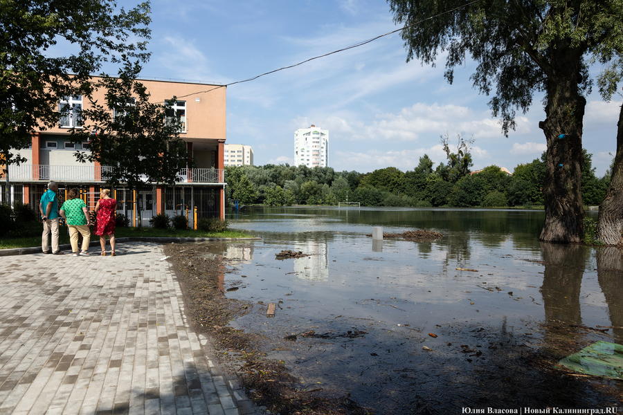 Горвласти объяснили, почему стадион «Красная звезда» снова затопило (фото)