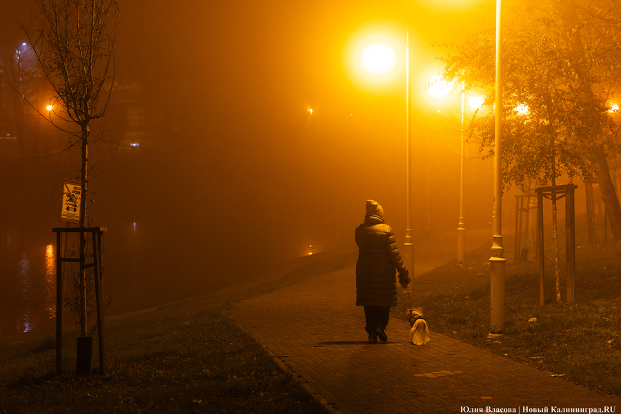 Пасмурная серость: прогноз погоды в Калининграде на неделю