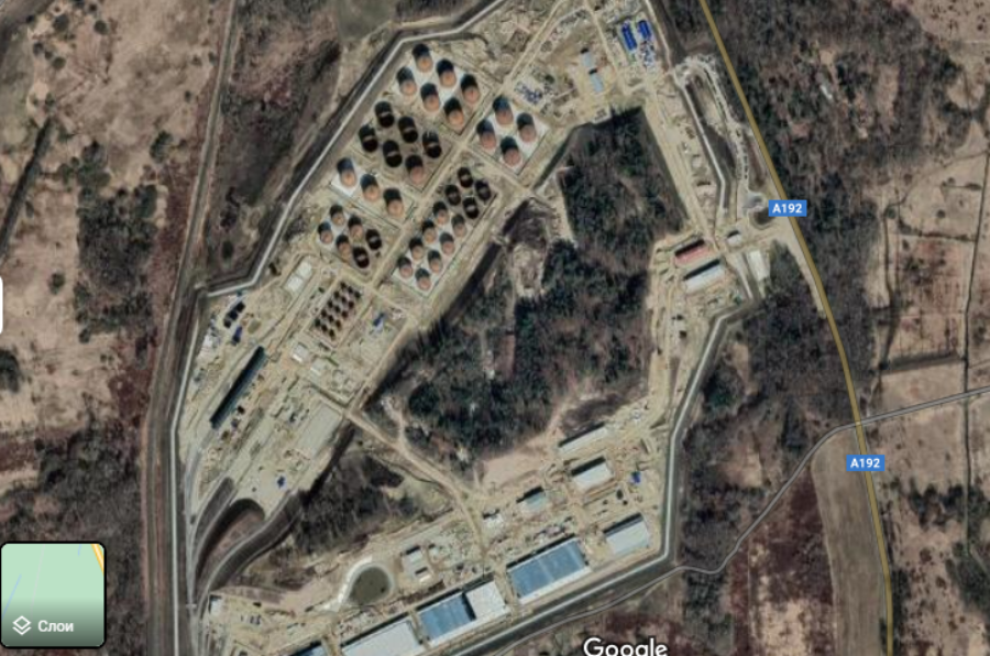 Вырубившее возле Калининграда 100 га леса  госучреждение продавало в области древесину