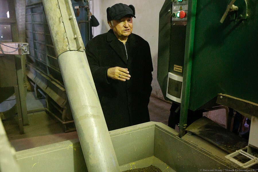 Компания Лужкова начала производить в Калининградской области перепелиное мясо