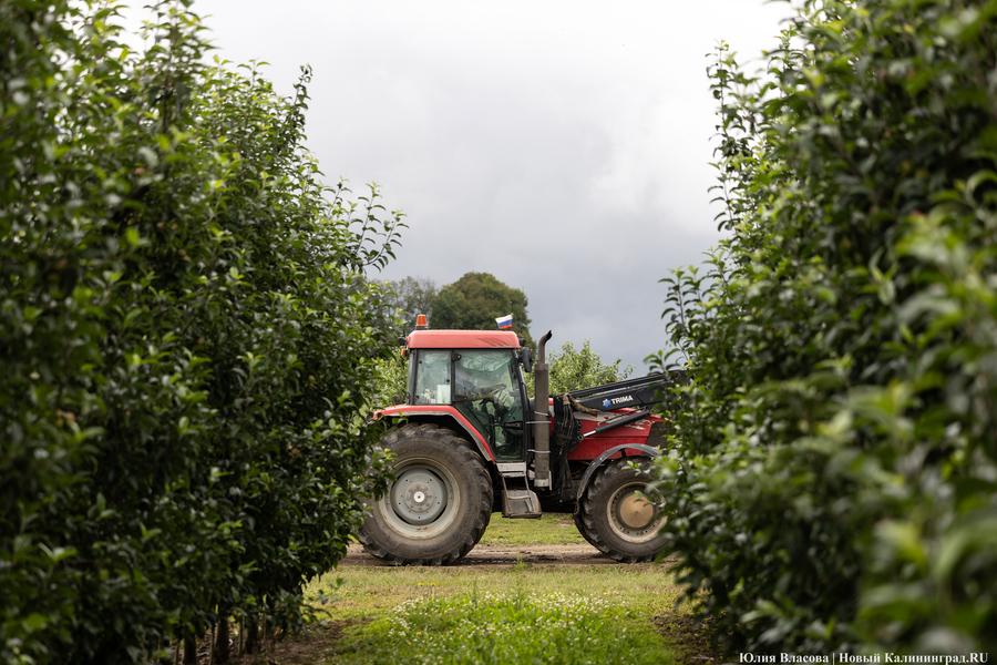 «Всех хорошо лупанули»: как фермеры и губернатор ущерб от заморозков обсуждали (фото)