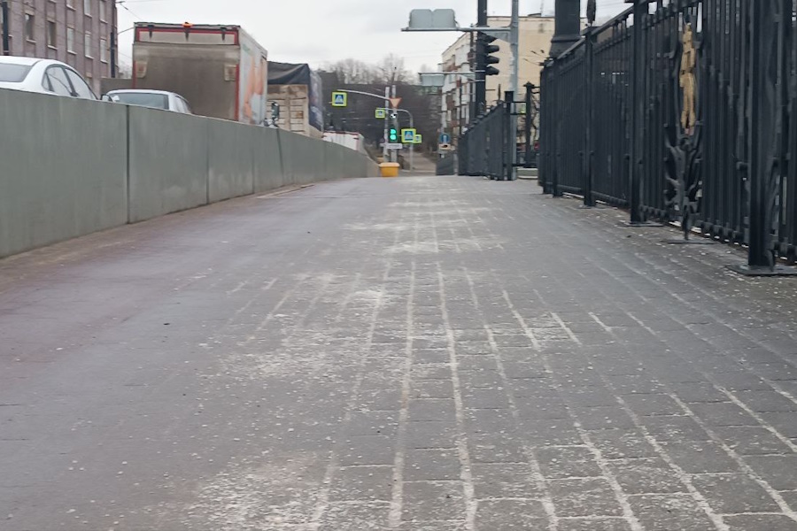 Елена Дятлова объяснила, почему все улицы Калининграда засыпаны солью (фото)