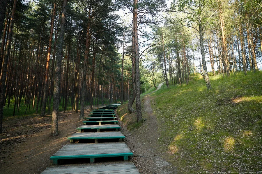 На восстановление экотропы «Королевский бор» на Куршской косе направляют 15 млн