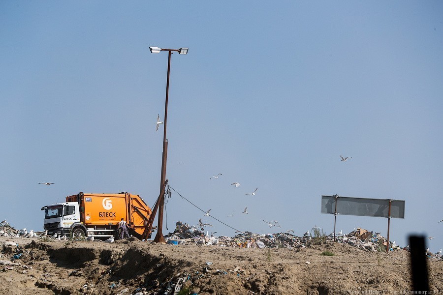 Власти заявляют, что знают о каждом килограмме мусора, попавшего на полигоны с 1 января