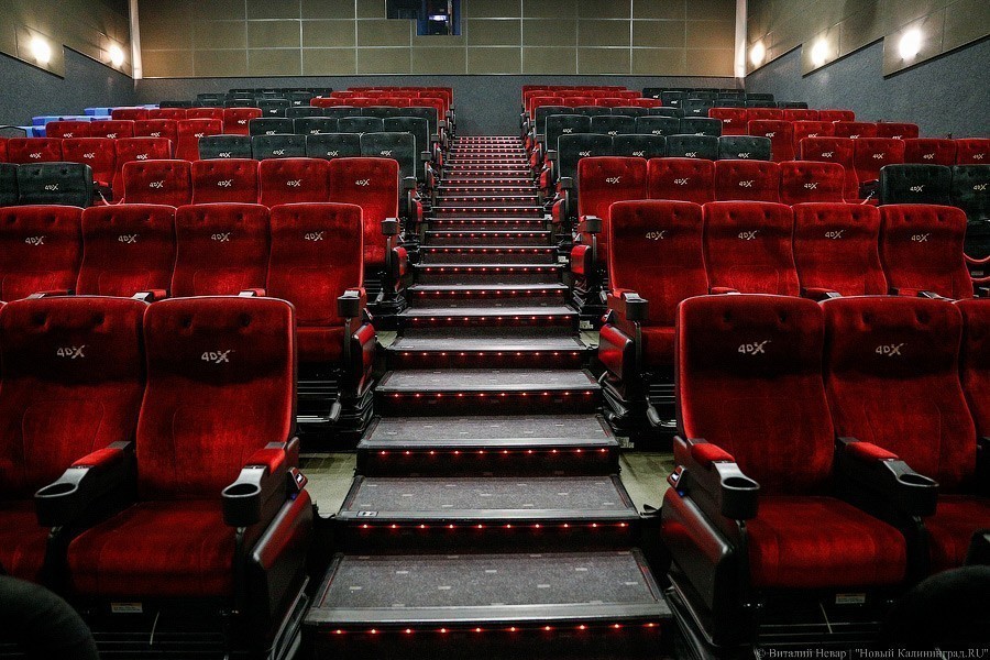 Калининградские кинотеатры просят Алиханова выкупать билеты за счет бюджета