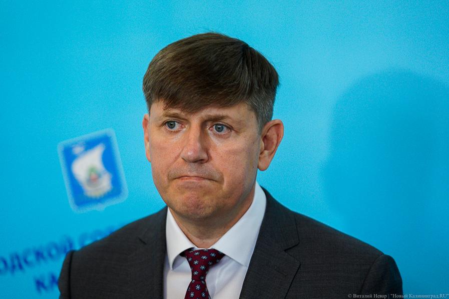 Глава Калининграда Кропоткин намерен баллотироваться в областную Думу