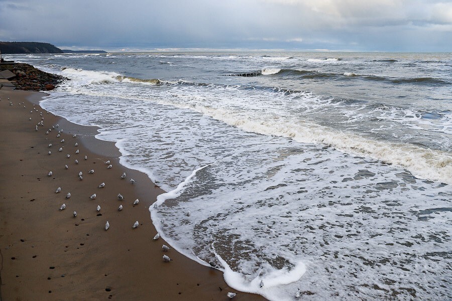 За два дня на пляжах Зеленоградска потерялись и нашлись 11 детей