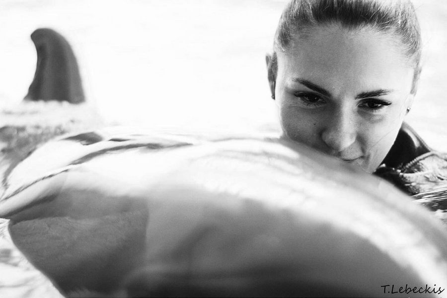 «Лучшая работа в мире»: один день из жизни тренера дельфинов