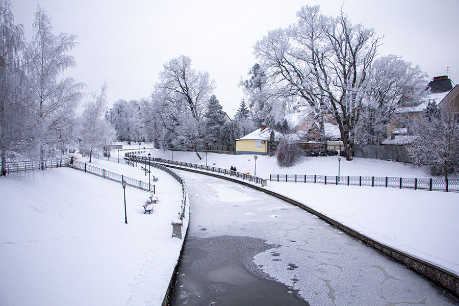 Местами сильный снег и ветер: погода в Калининградской области 10 января