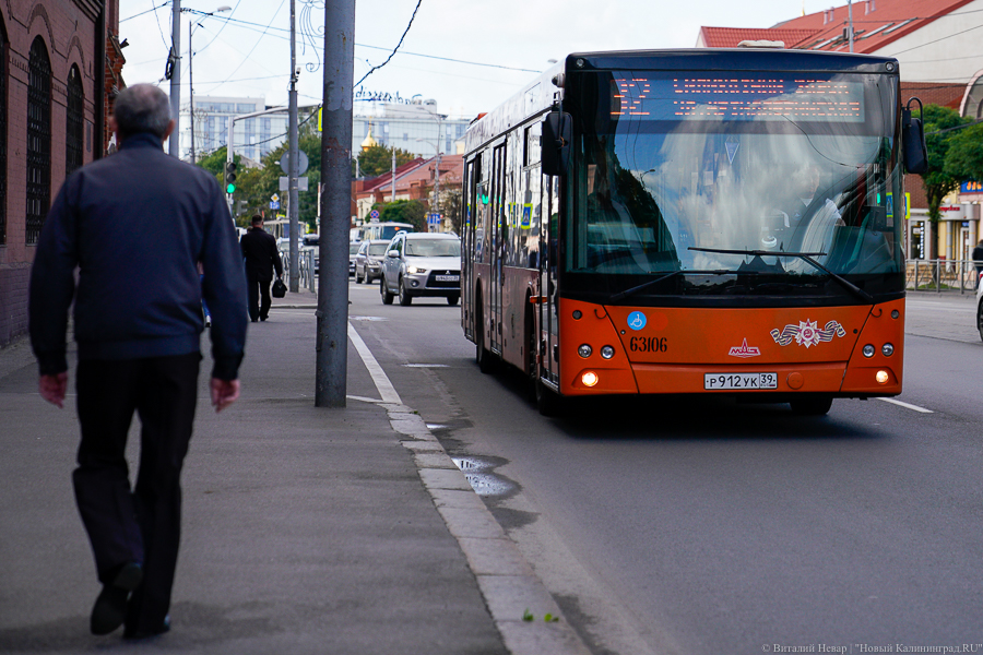 Долгое ожидание, хамство и грязь: на что жалуются пассажиры калининградских автобусов