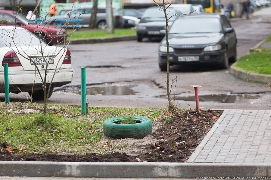 Лежим в такой огромной луже: главу Калининграда расстроил ремонт дворов