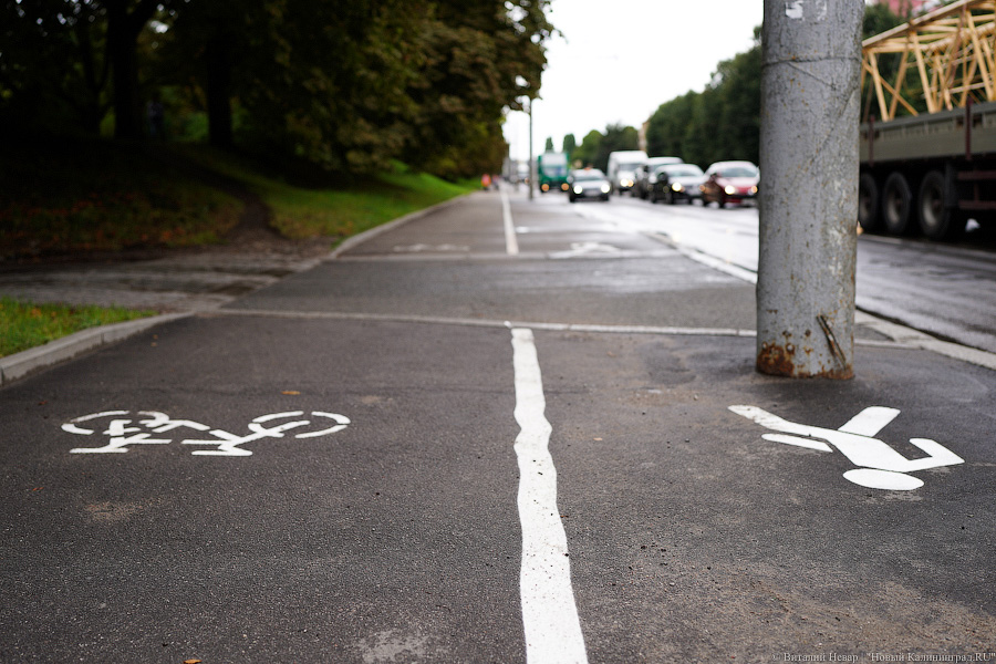 В Калининграде планируют выделить разметкой велодорожки на 56 улицах (список)