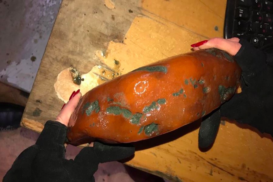 В Калининградской области нашли двухкилограммовый янтарный самородок (фото)