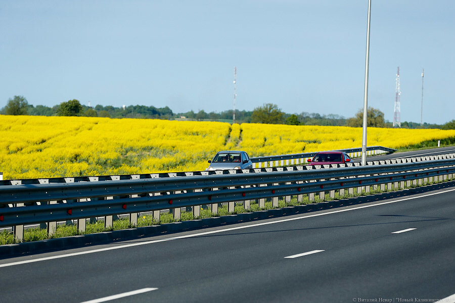 Кукушкина: примерно в 20% случаев выкуп участков под Северный обход идет через суд