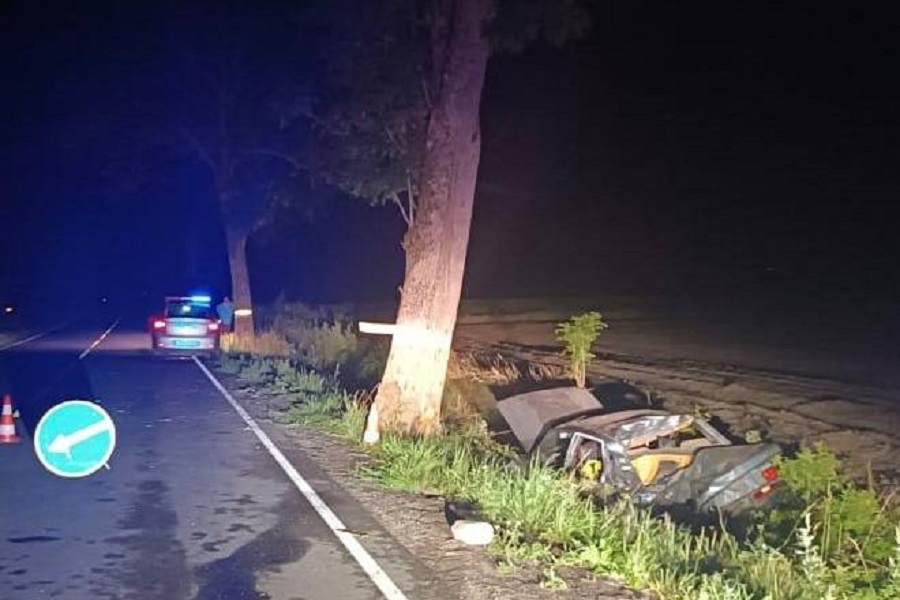 Прокуратура: в Славском районе автомобилистка врезалась в дерево, погибла ее дочь 