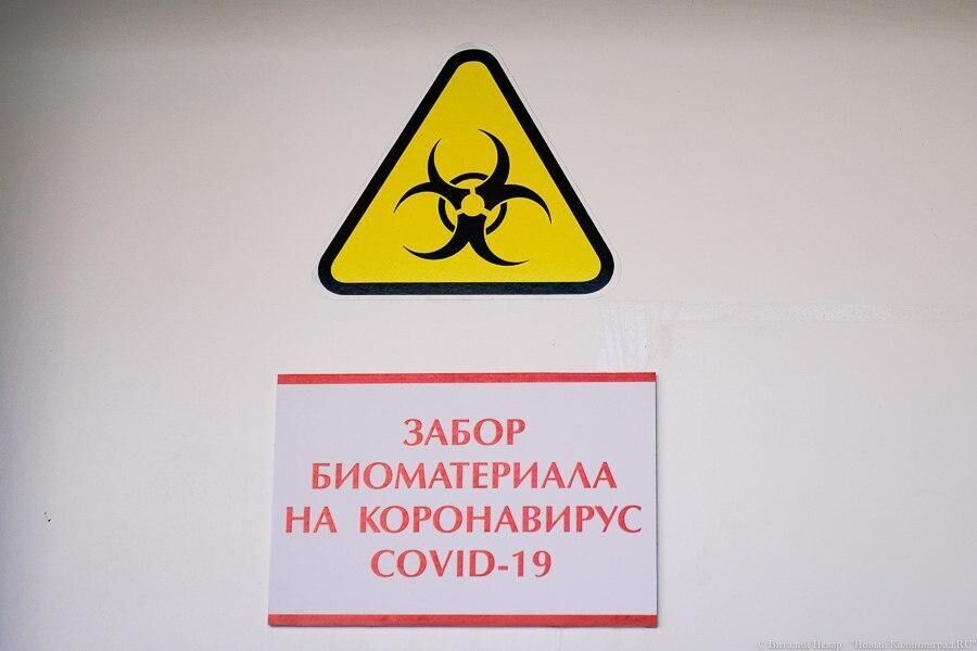  Суточный прирост новых случаев COVID-19 впервые с апреля превысил в РФ 14,6 тыс.